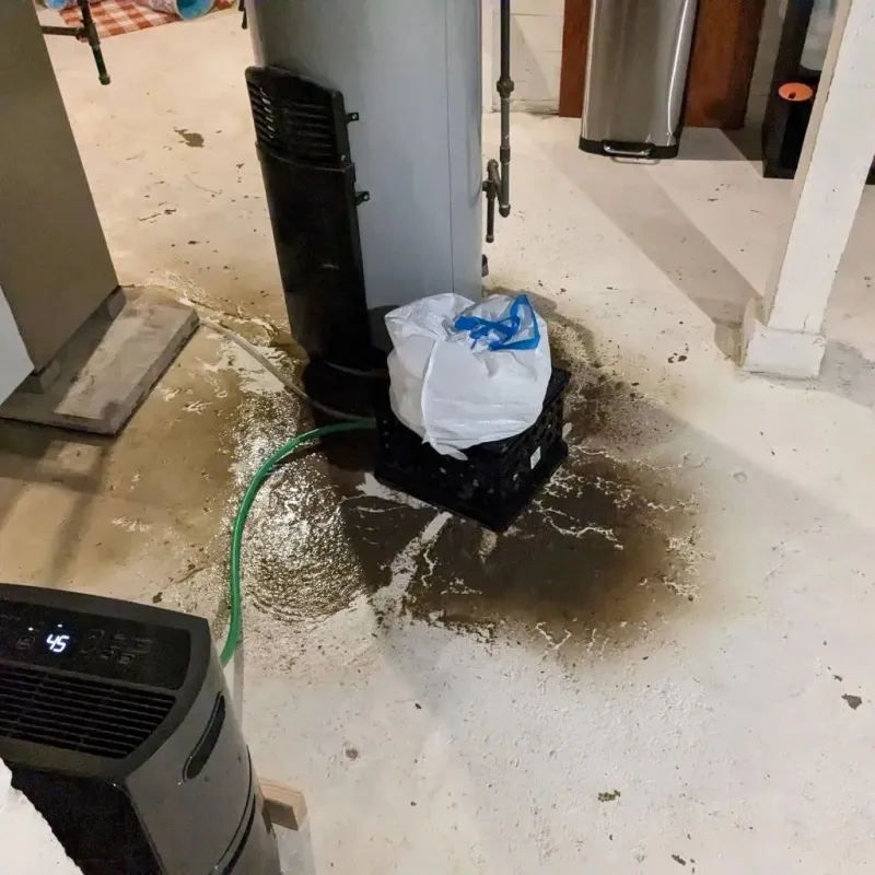 Sewage Backup Cleanup Service in Yoe, PA